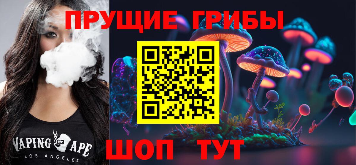 Псилоцибиновые грибы MAGIC MUSHROOMS  закладки  Минеральные Воды  Галлюциногенные грибы MAGIC MUSHROOMS  Вход с VPN 